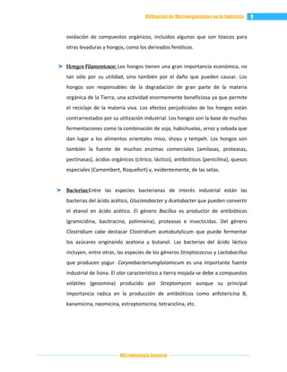 12 utilización de microorganismos en la industria | DOCX