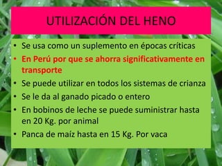 UTILIZACIÓN DEL HENO
• Se usa como un suplemento en épocas críticas
• En Perú por que se ahorra significativamente en
  transporte
• Se puede utilizar en todos los sistemas de crianza
• Se le da al ganado picado o entero
• En bobinos de leche se puede suministrar hasta
  en 20 Kg. por animal
• Panca de maíz hasta en 15 Kg. Por vaca
 