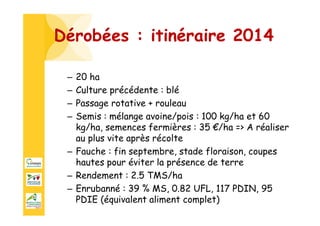 Dérobées : itinéraire 2014
– 20 ha
– Culture précédente : blé
– Passage rotative + rouleau
– Semis : mélange avoine/pois : 100 kg/ha et 60
kg/ha, semences fermières : 35 €/ha => A réaliser
au plus vite après récolte
– Fauche : fin septembre, stade floraison, coupes
hautes pour éviter la présence de terre
– Rendement : 2.5 TMS/ha
– Enrubanné : 39 % MS, 0.82 UFL, 117 PDIN, 95
PDIE (équivalent aliment complet)
 