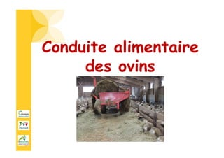 Conduite alimentaire
des ovins
 