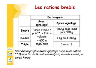 Les rations brebis
En bergerie
Avant
agnelage*
Après agnelage
Simple Enrub avoine /
pois** + Foin à
volonté
+ 600 g
orge/maïs
800 g orge-maïs
puis 600 g
Double 1 kg puis 800 g
Triple à volonté
*Pas d’échographie avant agnelage : une seule ration
** Quand fin de l’enrub avoine/pois, remplacement par
enrub herbe
 