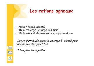 Les rations agneaux
• Paille / foin à volonté
• 5O % mélange 2/3orge 1/3 maïs
• 50 % aliment du commerce complémentaire
Ration distribuée avant le sevrage à volonté puis
diminution des quantités
Idem pour les agnelles
 