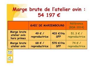 Marge brute de l’atelier ovin :
54 197 €
GAEC DE MARIEMBOURG
Référence
(BDR 2014)
Marge brute
atelier ovin
hors primes
49 € /
reproductrice
403 €/Ha
SFP
51.3 € /
reproductrice
Marge brute
atelier ovin
68 € /
reproductrice
570 €/Ha
SFP
74 € /
reproductrice
 