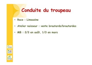 Conduite du troupeau
• Race : Limousine
• Atelier naisseur : vente broutards/broutardes
• MB : 2/3 en août, 1/3 en mars
 