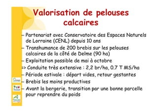 Valorisation de pelouses
calcaires
– Partenariat avec Conservatoire des Espaces Naturels
de Lorraine (CENL) depuis 10 ans
...