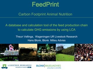 FeedPrint
Carbon Footprint Animal Nutrition
Theun Vellinga, Wageningen UR Livestock Research
Hans Blonk, Blonk Milieu Advies
A database and calculation tool of the feed production chain
to calculate GHG emissions by using LCA
 