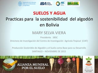 SUELOS Y AGUA
Practicas para la sostenibilidad del algodón
en Bolivia
MARY SELVA VIERA
Presidente SBSC
Directora de Investigación del Centro de Investigación Agrícola Tropical (CIAT)
Producción Sostenible de Algodón y el Suelo como Base para su Desarrollo
SANTIAGO – NOVIEMBRE DE 2015
 