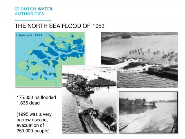 THE NORTH SEA FLOOD OF 1953
175.000 ha flooded
1.836 dead
(1995 was a very
narrow escape,
evacuation of
250.000 people)
 