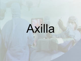 Axilla
 