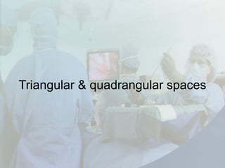 Triangular & quadrangular spaces
 