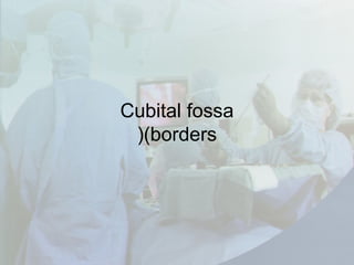 Cubital fossa
(borders)
 