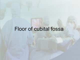 Floor of cubital fossa
 