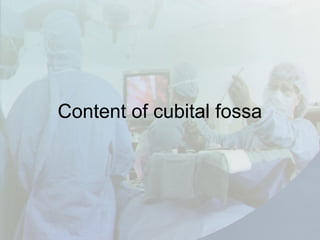 Content of cubital fossa
 