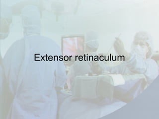 Extensor retinaculum
 