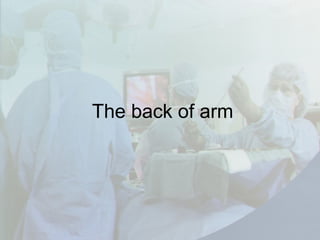 The back of arm
 