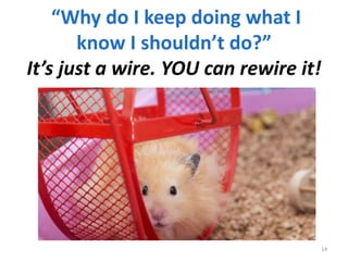 “Why do I keep doing what I
know I shouldn’t do?”
It’s just a wire. YOU can rewire it!
14
 