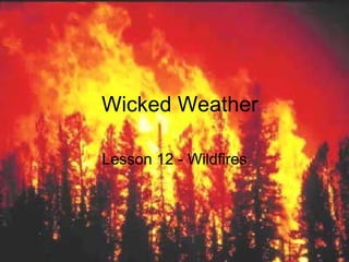Wicked Weather Lesson 12 - Wildfires 