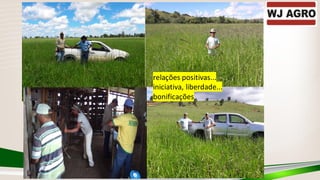 relações positivas...
iniciativa, liberdade...
bonificações
 