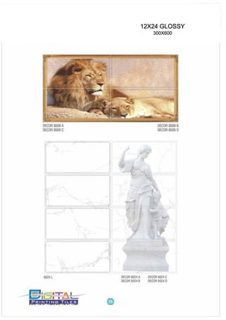 12X24 GLOSSY
300X600
 