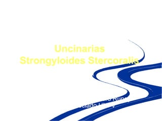 Uncinarias
Strongyloides Stercoralis
Autor: Dra. Gladys Caballero Rupay
Profesor asociado UNFV
CURSO DE
PARASITOLOGÍA CLÍNICA
 