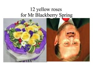 12 yellow roses  for Mr Blackberry Spring 