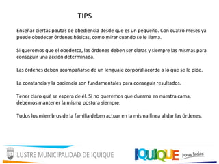 Enseñar ciertas pautas de obediencia desde que es un pequeño. Con cuatro meses ya
puede obedecer órdenes básicas, como mirar cuando se le llama.
Si queremos que el obedezca, las órdenes deben ser claras y siempre las mismas para
conseguir una acción determinada.
Las órdenes deben acompañarse de un lenguaje corporal acorde a lo que se le pide.
La constancia y la paciencia son fundamentales para conseguir resultados.
Tener claro qué se espera de él. Si no queremos que duerma en nuestra cama,
debemos mantener la misma postura siempre.
Todos los miembros de la familia deben actuar en la misma línea al dar las órdenes.
TIPS
 