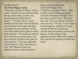 Exodus 8:16-21                              them, as the Lord had said.
The Third Plague: Gnats                     The Fourth Plague: Flies
16 Then the Lord said to Moses, ―Say to     20 Then the Lord said to Moses, ―Rise

Aaron, ‗Stretch out your staff and strike   up early in the morning and present
the dust of the earth, so that it may       yourself to Pharaoh, as he goes out to
become gnats in all the land of             the water, and say to him, ‗Thus says
Egypt.‘‖ 17 And they did so. Aaron          the Lord, ―Let my people go, that they
stretched out his hand with his staff and   may serve me. 21 Or else, if you will not
struck the dust of the earth, and there     let my people go, behold, I will send
were gnats on man and beast. All the        swarms of flies on you and your
dust of the earth became gnats in all the   servants and your people, and into your
land of Egypt. 18 The magicians tried by    houses. And the houses of the
their secret arts to produce gnats, but     Egyptians shall be filled with swarms of
they could not. So there were gnats on      flies, and also the ground on which they
man and beast. 19 Then the magicians        stand.
said to Pharaoh, ―This is the finger of
God.‖ But Pharaoh's heart was
hardened, and he would not listen to
 