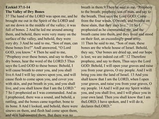 Ezekiel 37:1-14                                    breath in them.9 Then he said to me, ―Prophesy
The Valley of Dry Bones                            to the breath; prophesy, son of man, and say to
37 The hand of the LORD was upon me, and he        the breath, Thus says the Lord GOD: Come
brought me out in the Spirit of the LORD and       from the four winds, O breath, and breathe on
set me down in the middle of the valley; it was    these slain, that they may live.‖ 10 So I
full of bones. 2 And he led me around among        prophesied as he commanded me, and the
them, and behold, there were very many on the      breath came into them, and they lived and stood
surface of the valley, and behold, they were       on their feet, an exceedingly great army.
very dry. 3 And he said to me, ―Son of man, can    11 Then he said to me, ―Son of man, these
these bones live?‖ AndI answered, ―O Lord          bones are the whole house of Israel. Behold,
GOD, you know.‖ 4 Then he said to me,              they say, ‗Our bones are dried up, and our hope
―Prophesy over these bones, and say to them, O     is lost; we are indeed cut off.‘ 12 Therefore
dry bones, hear the word of the LORD.5 Thus        prophesy, and say to them, Thus says the Lord
says the Lord GOD to these bones: Behold, I        GOD: Behold, I will open your graves and raise
will cause breath to enter you, and you shall      you from your graves, O my people. And I will
live.6 And I will lay sinews upon you, and will    bring you into the land of Israel. 13 And you
cause flesh to come upon you, and cover you        shall know that I am the LORD, when I open
with skin, and put breath in you, and you shall    your graves, and raise you from your graves, O
live, and you shall know that I am the LORD.‖      my people. 14 And I will put my Spirit within
7 So I prophesied as I was commanded. And as       you, and you shall live, and I will place you in
I prophesied, there was a sound, and behold, a     your own land. Then you shall know that I am
rattling, and the bones came together, bone to     theLORD; I have spoken, and I will do it,
its bone. 8 And I looked, and behold, there were   declares theLORD.‖
sinews on them, and flesh had come upon them,
and skin had covered them. But there was no
 