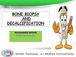 Page 1
BONE BIOPSY
AND
DECALCIFICATION
MUHAMMAD SHOAIB
M.PHIL. Biochemistry
 