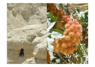 Impressions d'Israël - Présentation