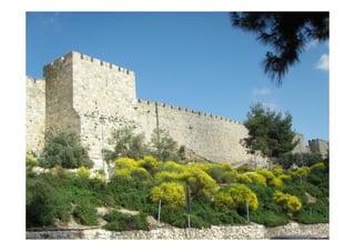 Impressions d'Israël - Présentation