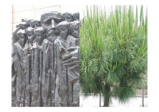 Impressions d'Israël - Présentation