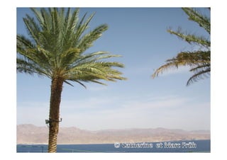 Impressions d'Israël - Présentation