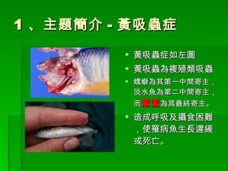 機車環島13天巡溪之旅