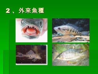 機車環島13天巡溪之旅