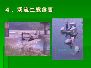 4 、溪流生態危害 
