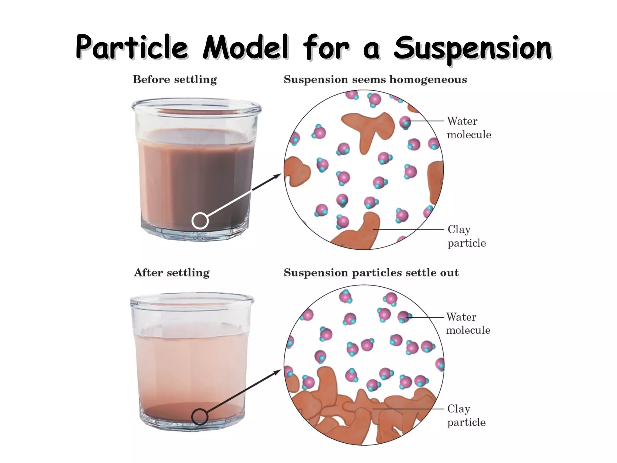 Particle Model for a Suspension 