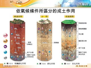 依氣候條件所區分的成土作用
 