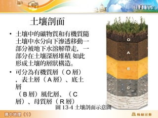 土壤剖面
• 土壤中的礦物質和有機質隨
土壤中水分向下滲透移動一
部分被地下水溶解帶走，一
部分在土壤深層堆積，如此
形成土壤的層狀構造。
• 可分為有機質層（ O 層）
，表土層（ A 層）、底土
層
（ B 層）風化層、（ C
層）、母質層（ R 層）
圖 13-4 土壤剖面示意圖
 