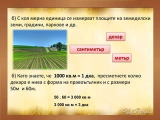 б) С коя мерна единица се измерват площите на земеделски земи, градини, паркове и др. б) Като знаете, че  1000 кв.м = 1 дка ,  пресметнете колко декара е нива с форма на правоъгълник и с размери  50м  и 60м. 50 . 60 = 3 000 кв м   3 000 кв м = 3 дка   