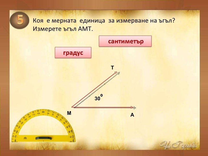 13 мерни единици