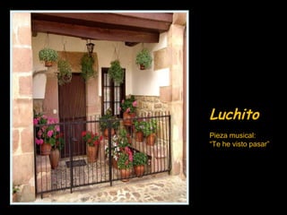 LuchitoLuchito
Pieza musical:
“Te he visto pasar”
 