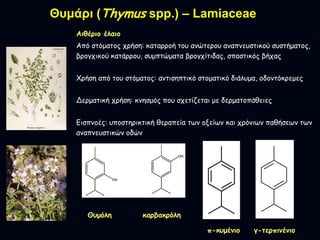 Θπκάξη (Thymus spp.) – Lamiaceae
Αηζένημ έιαημ
Απσ ζησμαηκμ ξλήζγ: ζαηαλλκή ηκν αθυηελκν αθαπθενζηεζκτ ζνζηήμαηκμ,
ΰλκαξεζ...