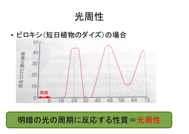 植物生理学第13回