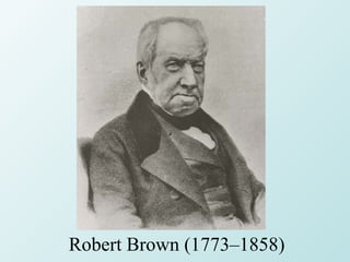 Robert Brown (1773–1858)
 