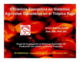 Eficiencia Energética en Sistemas
Agrícolas Ganaderos en el Trópico Bajo




      Grupo de Investigación en Sistemas Sostenibles de
        Producción con énfasis en Palmas Tropicales


    XII CODEGALAC – Asunción Paraguay – 6 a 8 Noviembre 2012
 