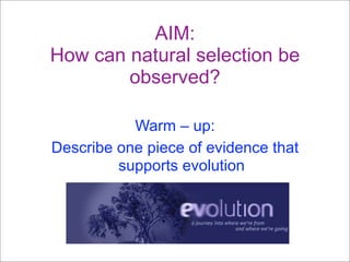 AIM:
How can natural selection be
        observed?

           Warm – up:
Describe one piece of evidence that
         supports evolution