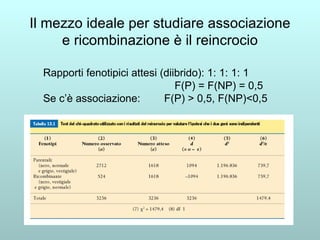 Il mezzo ideale per studiare associazione e ricombinazione è il reincrocio Rapporti fenotipici attesi (diibrido): 1: 1: 1: 1 F(P) = F(NP) = 0,5 Se c’è associazione:  F(P) > 0,5, F(NP)<0,5 