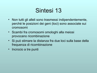 Sintesi 13 Non tutti gli alleli sono trasmessi indipendentemente, perché le posizioni dei geni (loci) sono associate sui cromosomi Scambi fra cromosomi omologhi alla meiosi provocano ricombinazione Si può stimare la distanza fra due loci sulla base della frequenza di ricombinazione Incrocio a tre punti 