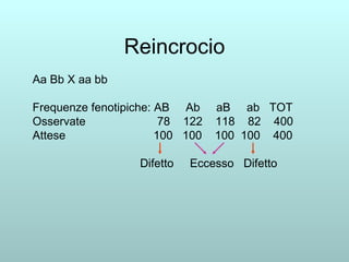 Reincrocio Aa Bb X aa bb Frequenze fenotipiche: AB  Ab  aB  ab  TOT Osservate  78  122  118  82  400 Attese  100  100  100  100  400 Difetto  Eccesso  Difetto  
